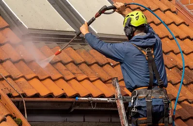 Démoussage et hydrofuge de toiture à Arguenos